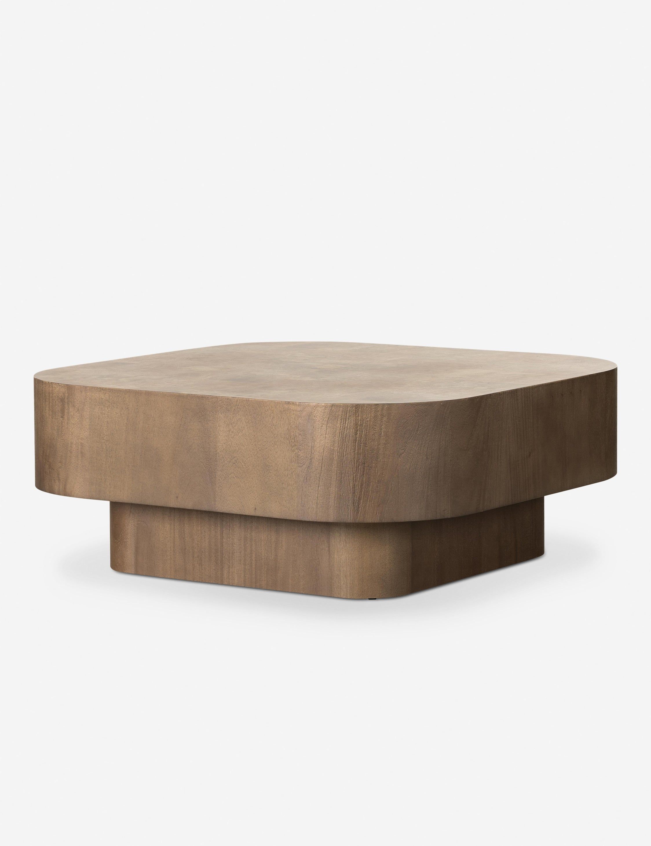 Warm Umber Burl Square Coffee Table with Storage
