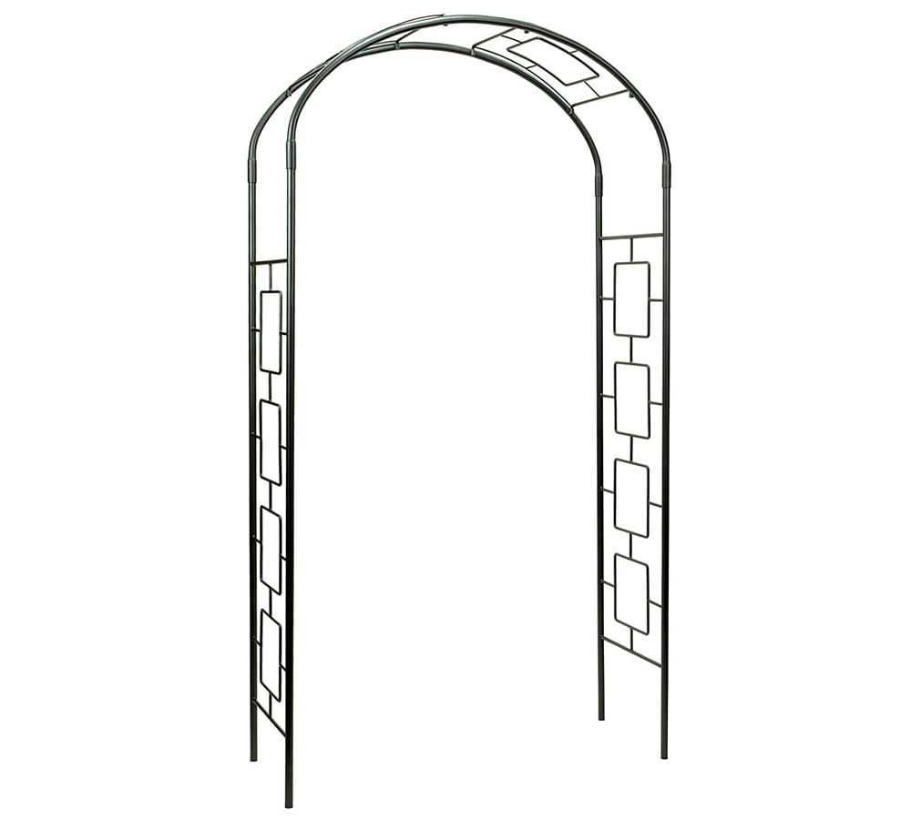 Paola Arbor