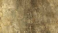 Lacquer Wood Trays - Square