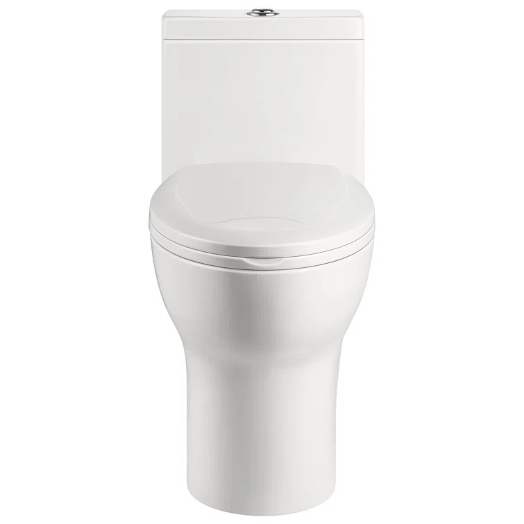 Ally Standard Bathroom Toielt, Modern Toilet with Comfort Chair Height Floor Mounted(Seat Included)