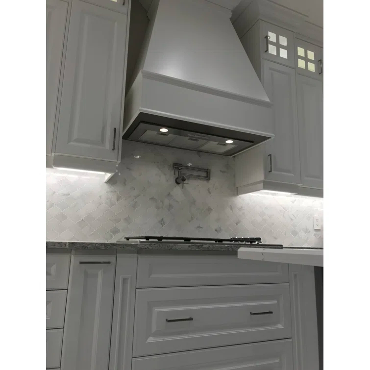 Cyclone Stainless Steel 550 CFM Ducted (Vented) Insert Range Hood with Mesh Filter