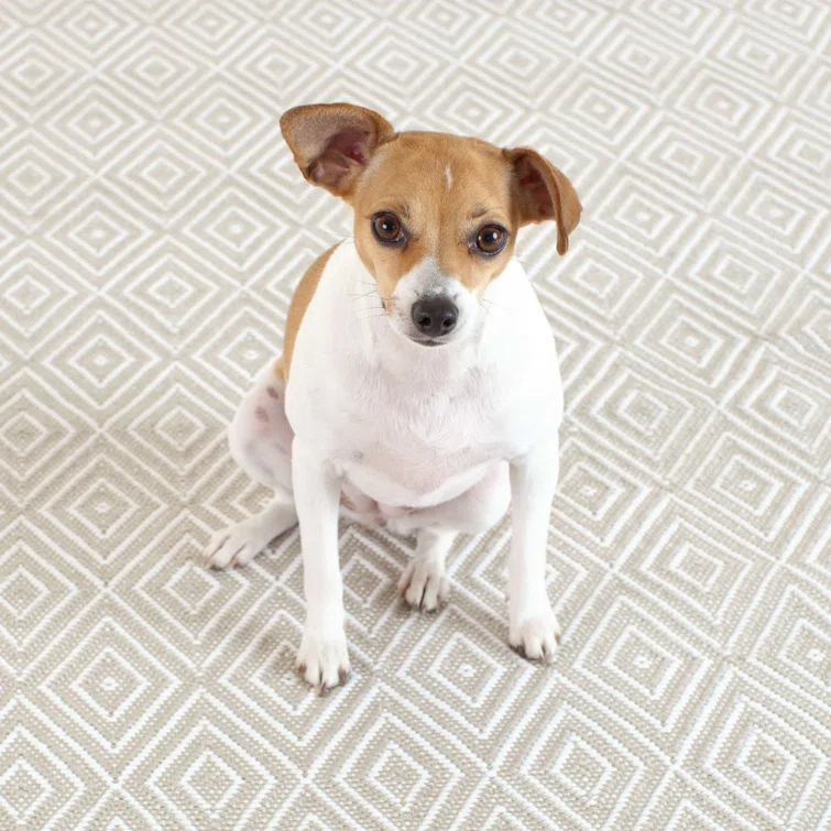 Diamond Platinum/White Handwoven Indoor/Outdoor Rug