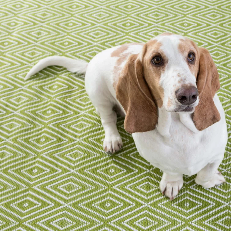 Diamond Sprout/White Handwoven Indoor/Outdoor Rug