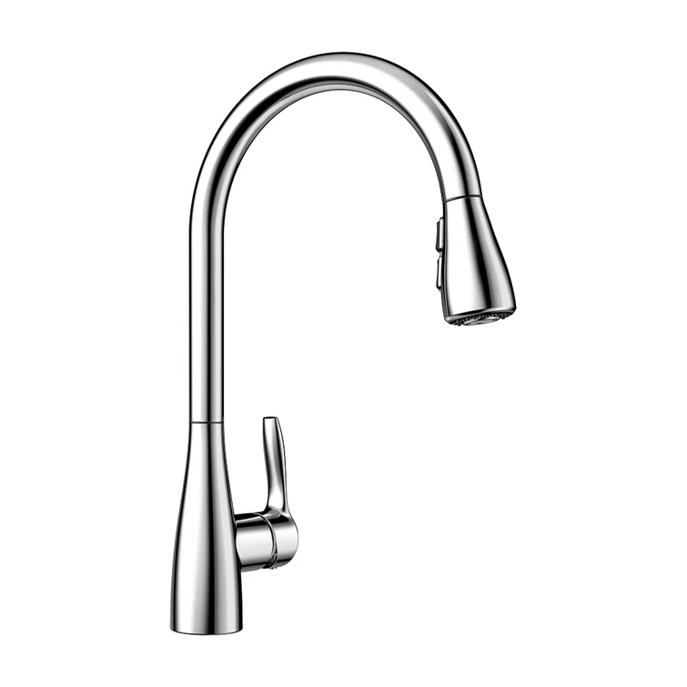 Atura Pull Down Dual Spray Kitchen Faucet