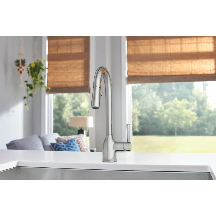 Adler Pull Down Single Handle Kitchen Faucet with Accessories