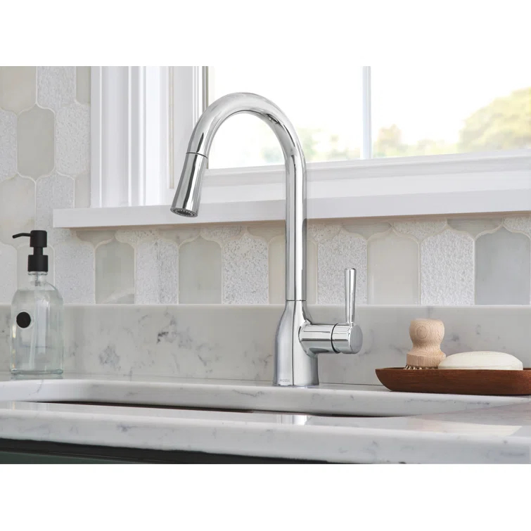 Adler Pull Down Single Handle Kitchen Faucet with Accessories
