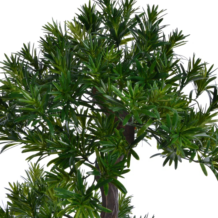 Panama 59" Yucca Bonsai Tree in Pot