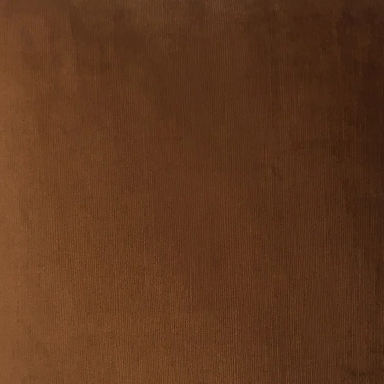 The Pillow Collection Reversible Throw Pillow