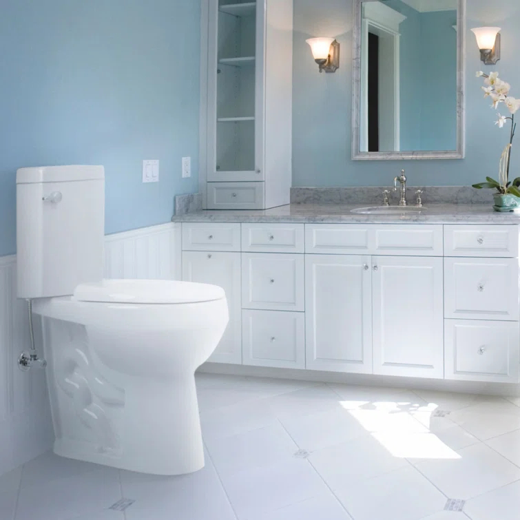 2-Piece 1.28/.09 GPF Dual Flush Elongated 20 in. Extra Tall Toilet in White, Seat Included