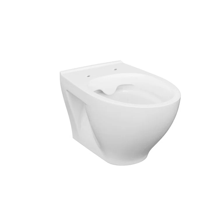 StormOn Dual-Flush Elongated Wall-Mount Toilet (Seat Included)