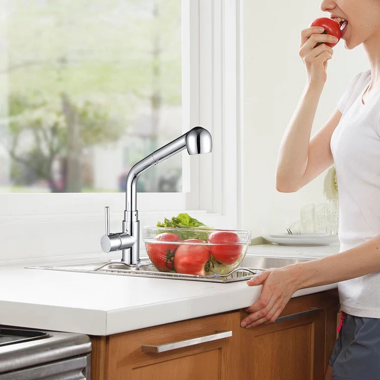 Aquaterior Pull Out Kitchen Faucet