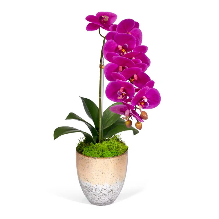 T&C Floral Company Faux Silk Orchid Arrangement in Vase
