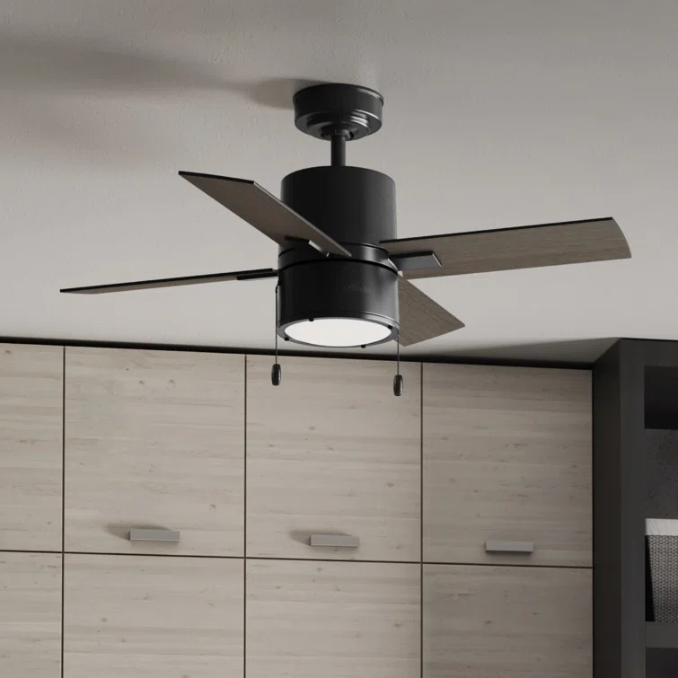 Hunter Fan 42" Beck 4 - Blade Standard Ceiling Fan with Pull Chain and Light Kit Included