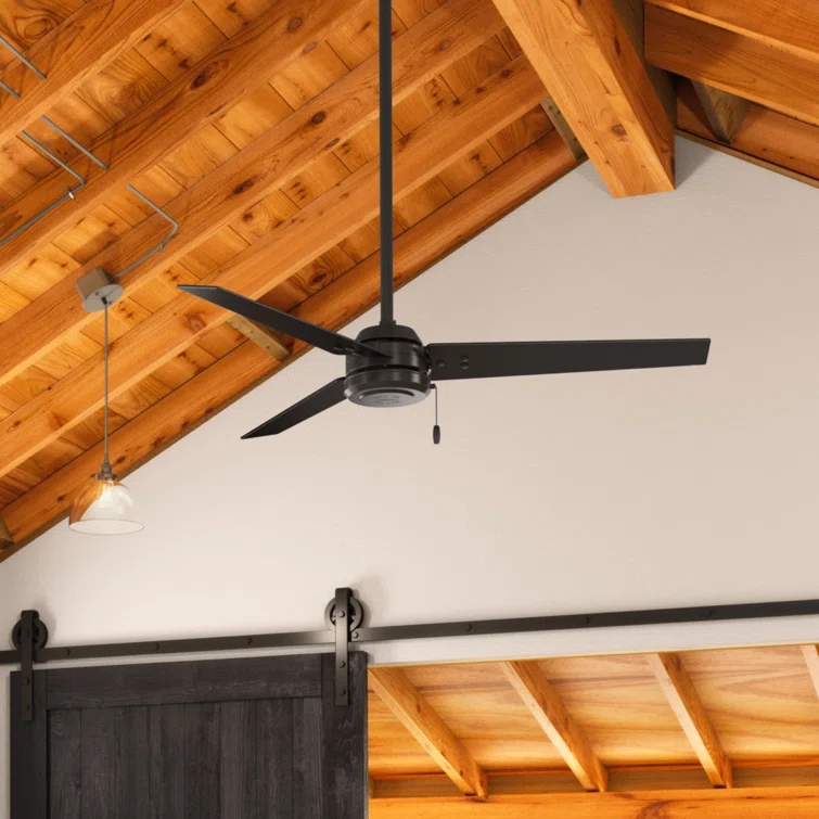 52" Cassius 3 - Blade Outdoor Standard Ceiling Fan with Pull Chain