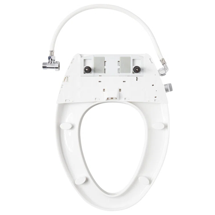 Carraway Two-Piece Skirted Elongated Toilet