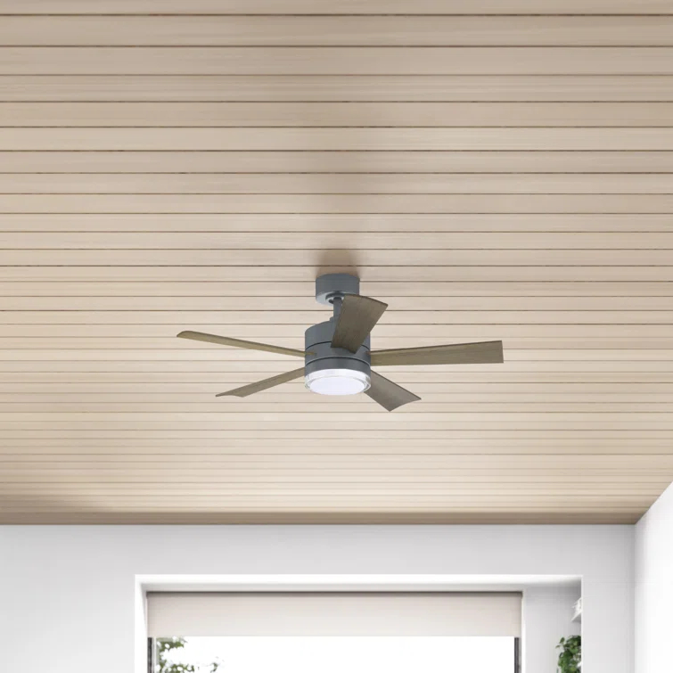 Wynd 5 - Blade Outdoor /Indoor Smart Ceiling Fan with Remote Control and LED Light Kit Included
