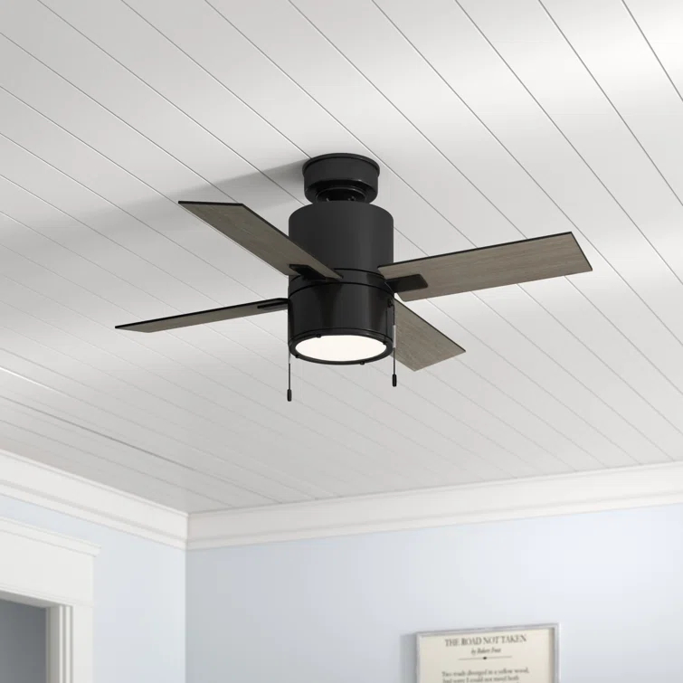 Hunter Fan 42" Beck 4 - Blade Standard Ceiling Fan with Pull Chain and Light Kit Included