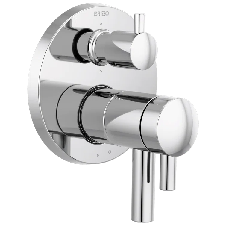 Modern Black Polished Wall-Mounted Shower Trim with Lever