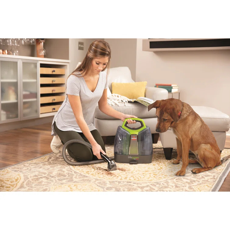 BISSELL Little Green Proheat Portable Deep Cleaner/Spot Cleaner and Car/Auto Detailer with self-Cleaning HydroRinse Tool, 2513g