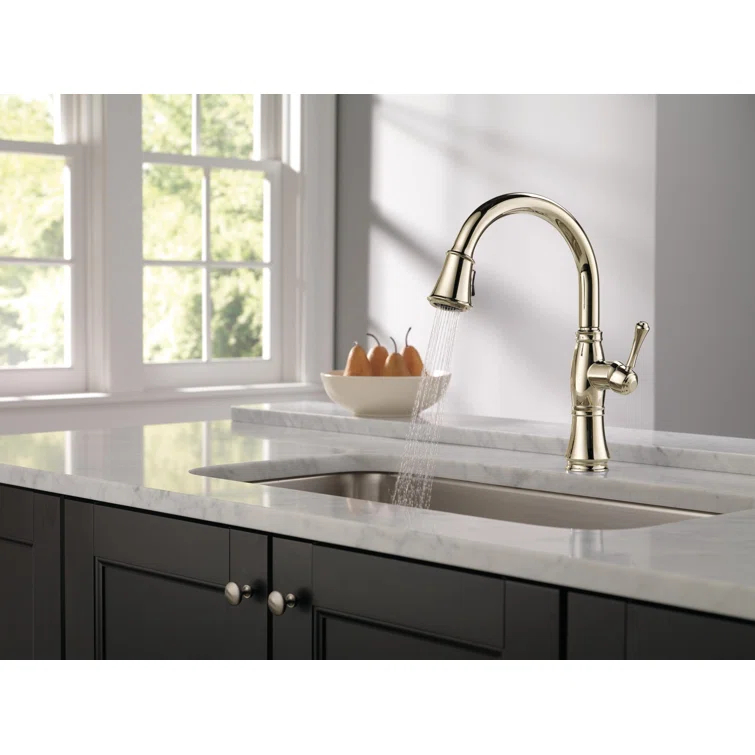 Cassidy Pull Down Sprayer Kitchen Sink Faucet, Single Handle Kitchen Faucet