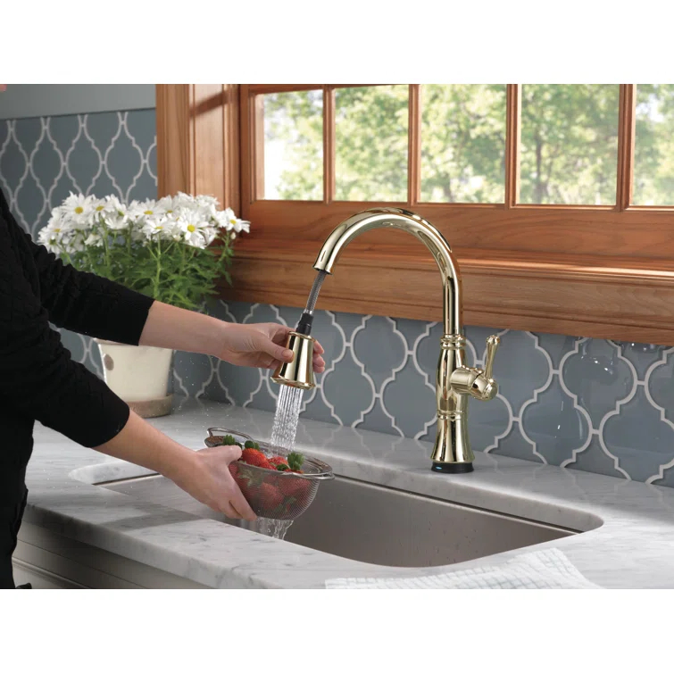 Cassidy Pull Down Touch Single Handle Kitchen Faucet with Side Spray