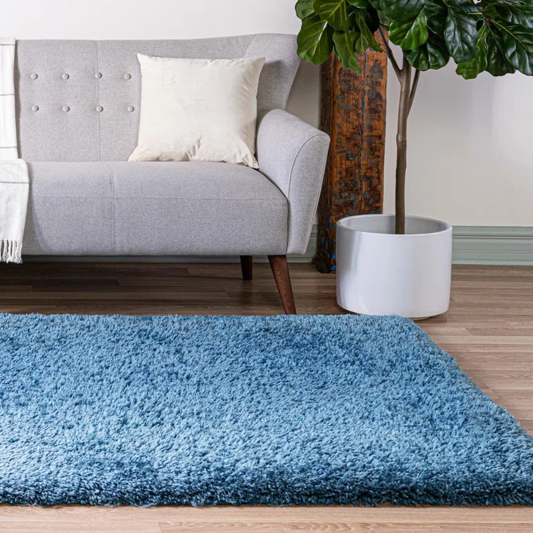 Indoor Rug