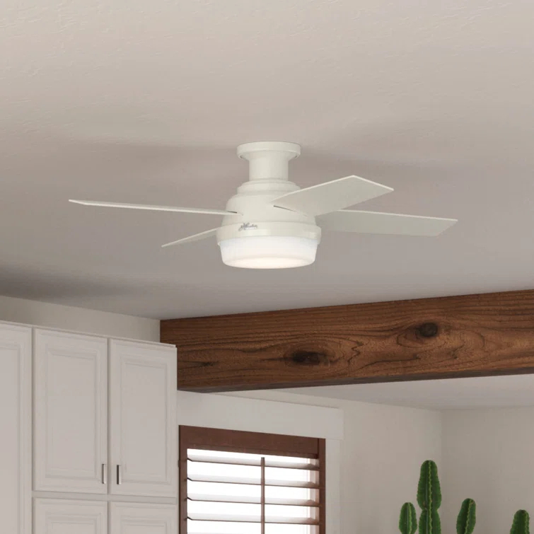 Dempsey Low Profile 44" 4 - Blade Indoor Flush Mount Small Room Ceiling Fan with Lights and Remote