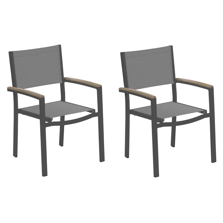 Hermes Indoor / Outdoor Dining Chair (Set of 2) - Gray and Carbon