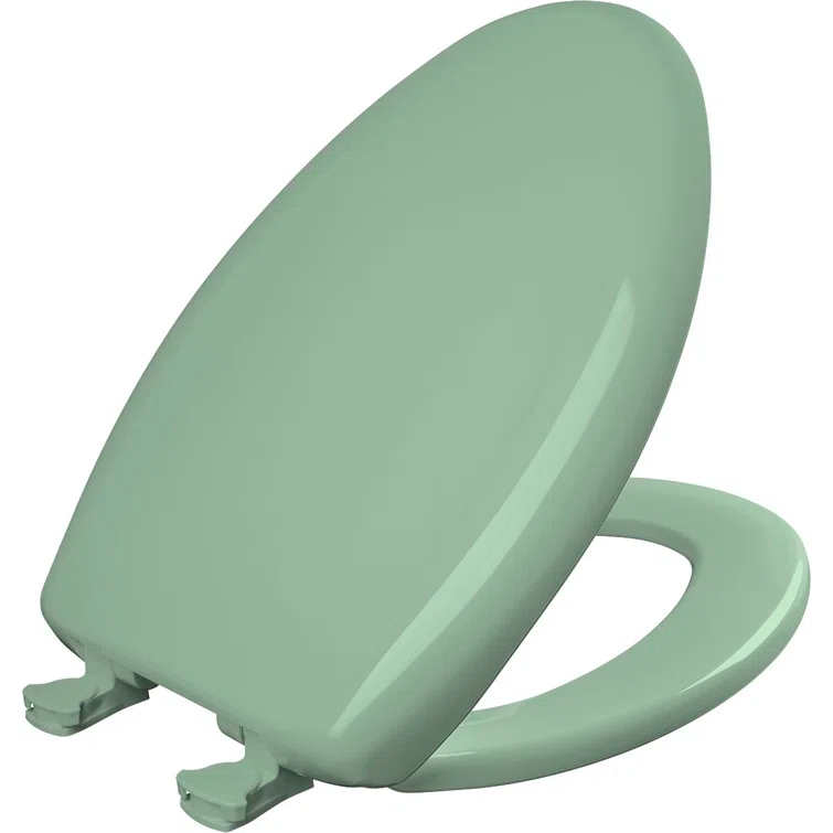 Elongated Toilet Seat and Lid