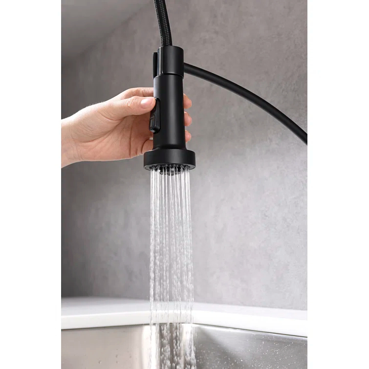 Karran Scottsdale Single-Handle Pull-Down Sprayer Kitchen Faucet