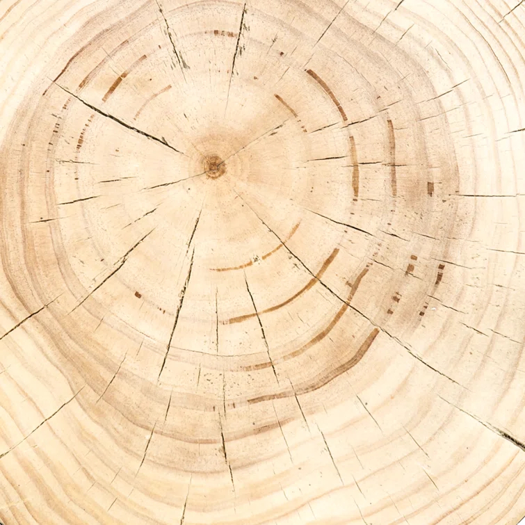 Modern Round Wood Drum End Table in Black and Natural Pine