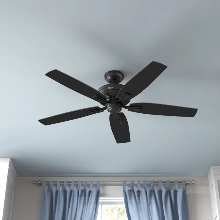 52" Newsome 5 - Blade Outdoor Standard Ceiling Fan with Pull Chain