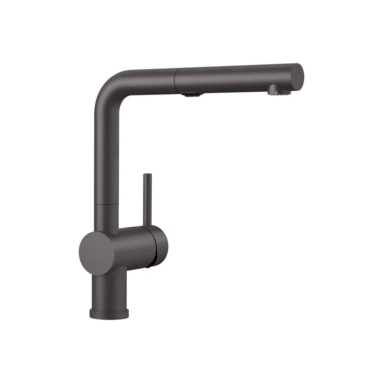 Linus Pull Out Dual Spray Kitchen Faucet