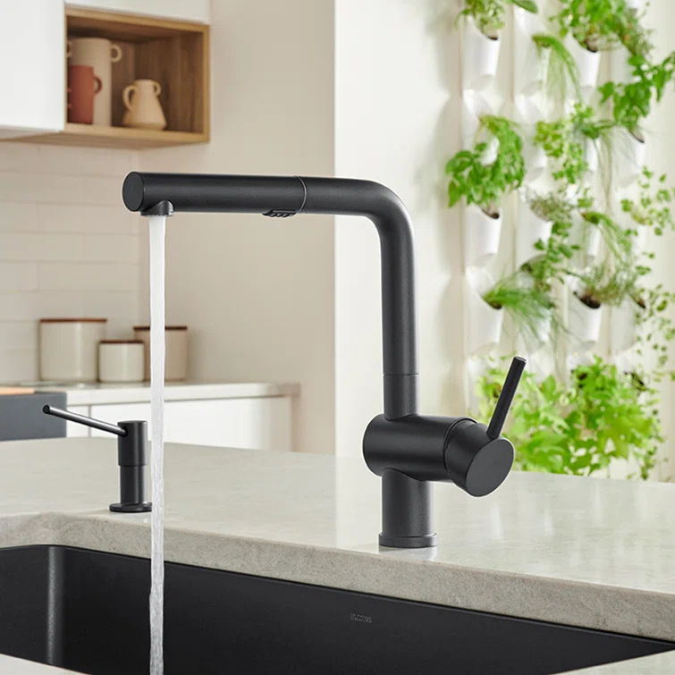 Linus Pull Out Dual Spray Kitchen Faucet