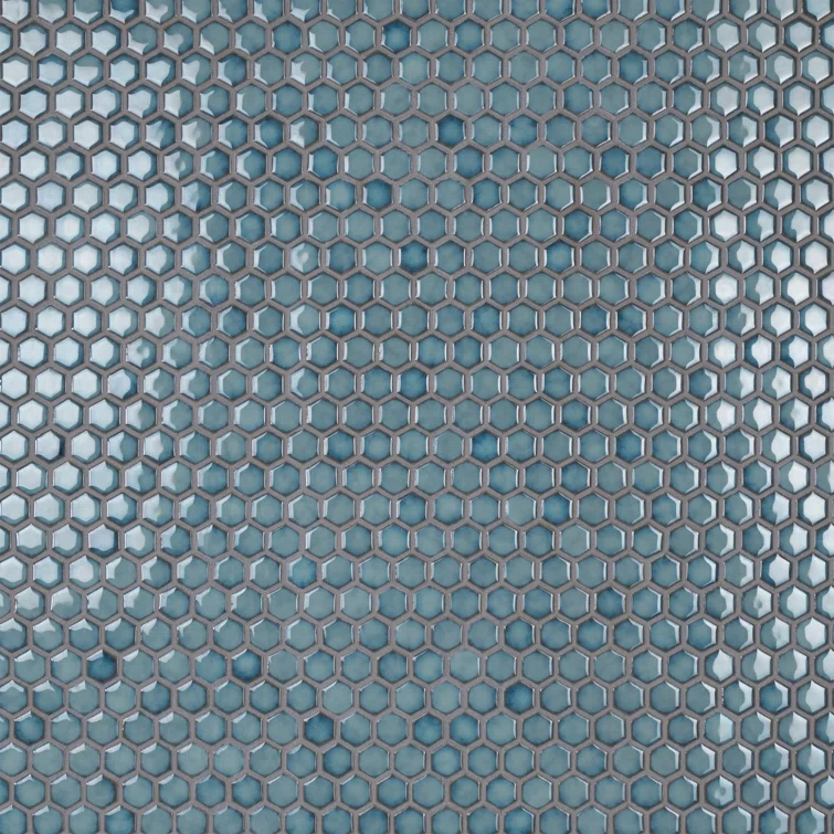 Hudson 1" Hex 11-7/8 " x 13-1/4 " Porcelain Mosaic Floor and Wall Tile