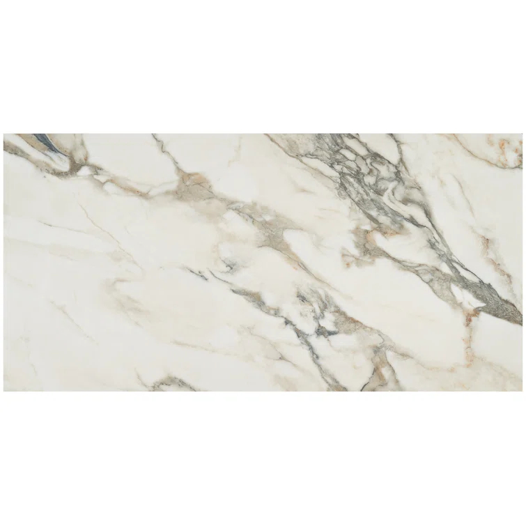 Saroshi 24" x 47" Polished Marble Look Porcelain Floor and Wall Tile (15.5 Sq. Ft. / Case)