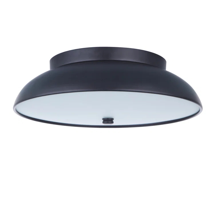 Soul Acrylic LED Flush Mount