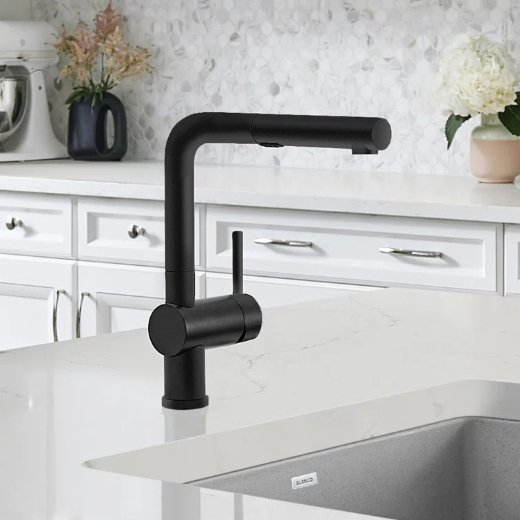 Linus Pull Out Dual Spray Kitchen Faucet