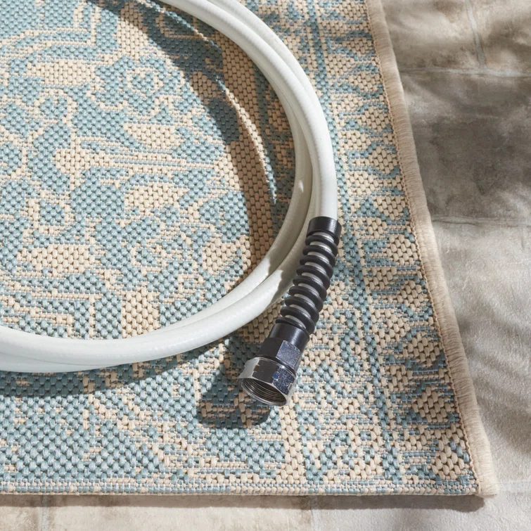 Danya Cream/Aqua Indoor/Outdoor Area Rug