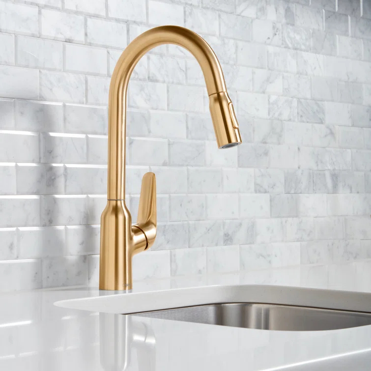 Focus N HighArc Kitchen Faucet with 2-Spray Pull-Down, 1.75 GPM