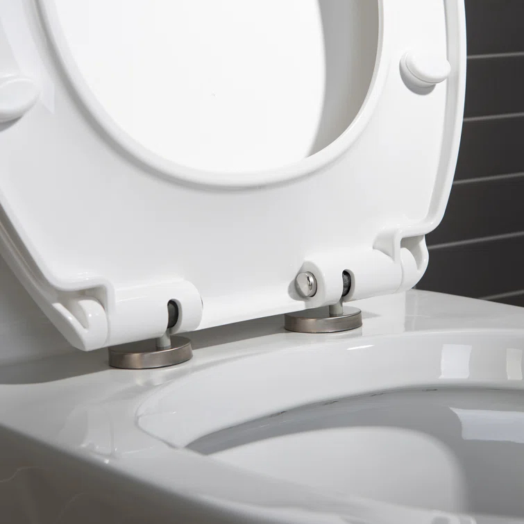 1.28 GPF Round Compact One Piece Dual-Flush Toilet with Soft-Closing Seat,MAP Flushing 1000G