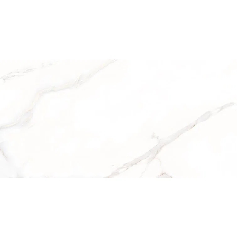 The Tile Life Huntington 24" x 48" Porcelain Marble Look Wall & Floor Tile