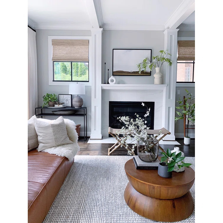 Zaragoza Hand Woven Performance Solid Color Rug