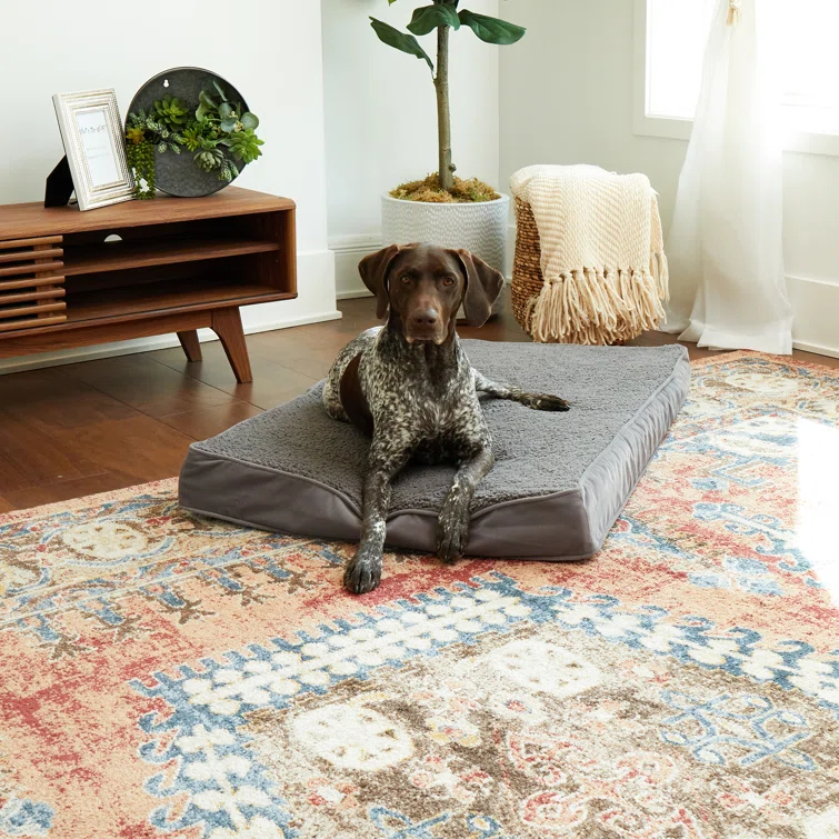 Lindholm Orthopedic Pillow Dog Bed