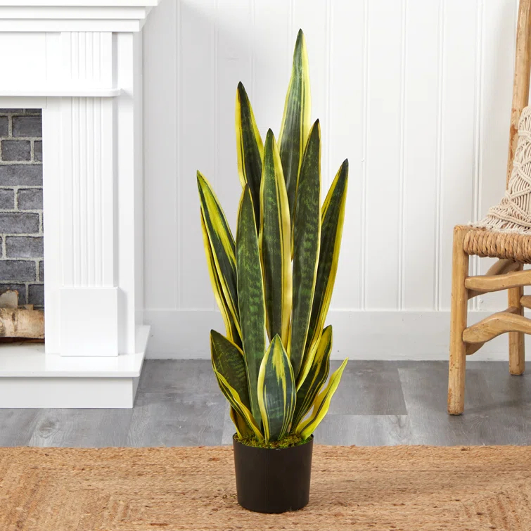 Primrue Faux Snake Plant (Sansevieria) Tree in Planter