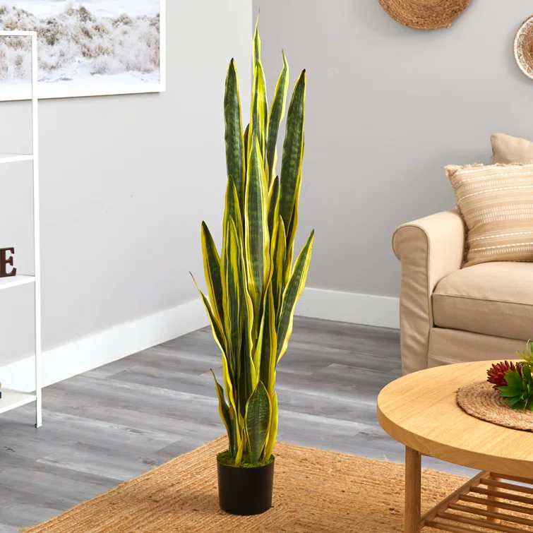 Primrue Faux Snake Plant (Sansevieria) Tree in Planter