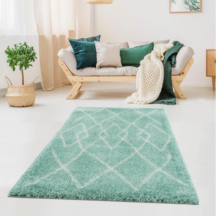 Adrial Turquoise Shag Area Rug