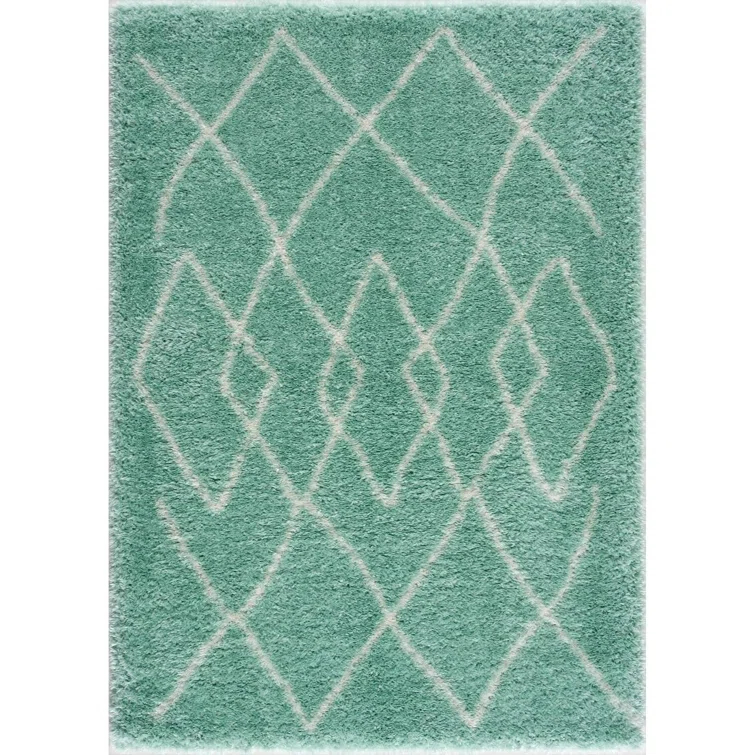 Adrial Turquoise Shag Area Rug