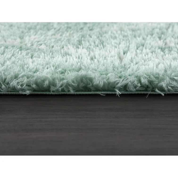 Adrial Turquoise Shag Area Rug