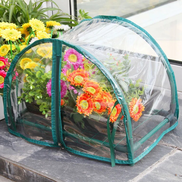 Zenport 1.5 Ft. W x 1 Ft. D Mini Greenhouse